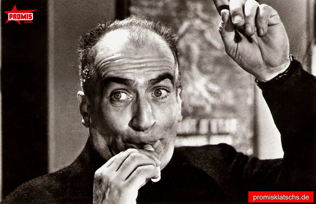 Louis de Funès Erbe und Einfluss