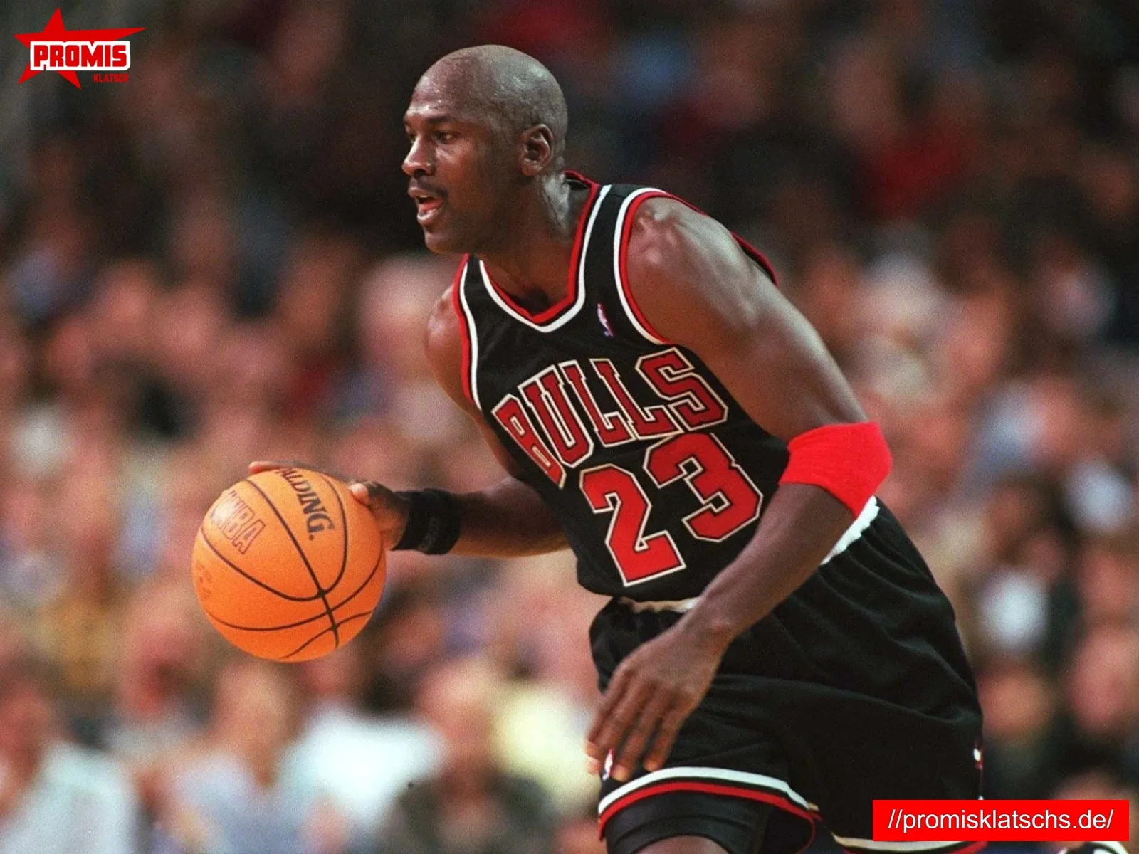 Michael Jordan Erfolge und Anerkennung