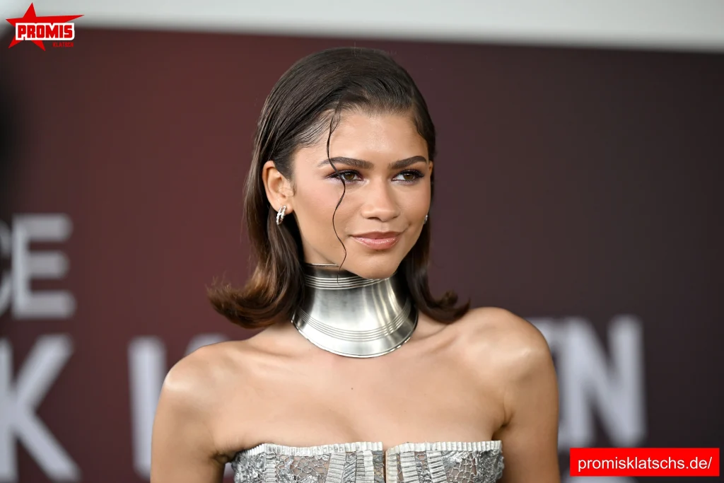 Zendaya Aufstieg zum Ruhm