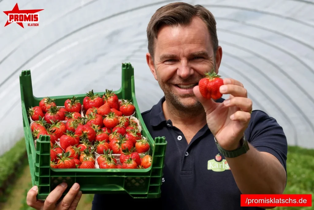 Robert Dahl Expansion und Wachstum