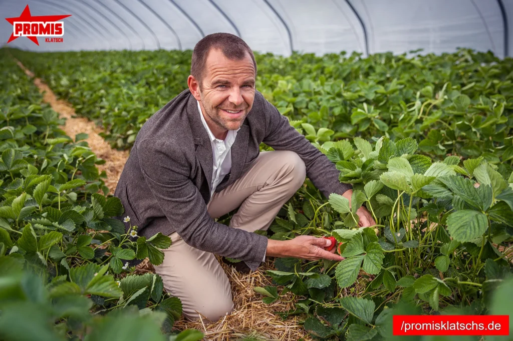 Robert Dahl Innovatives Geschäftsmodell
