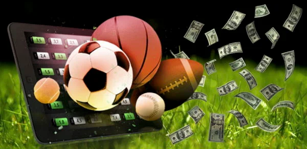 Pay Per Head Sportsbook Solutions Trends for 2025