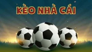 Trực Tuyến Kèo Nhà Cái lesen und auswählen