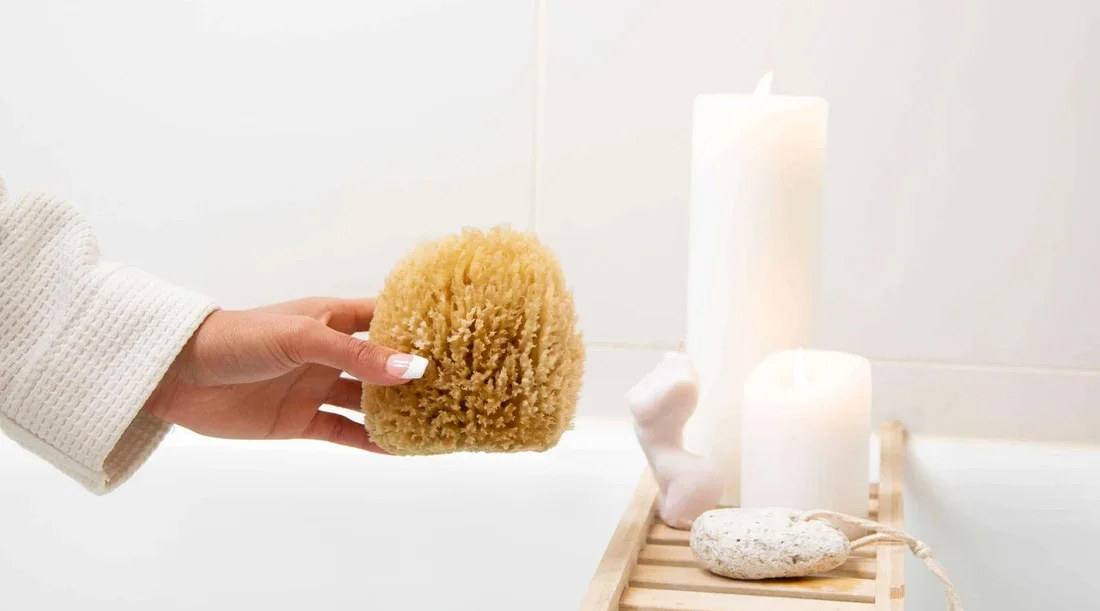 Amazing Facts About Sea Sponges for Personal Care - Promis Klatsch